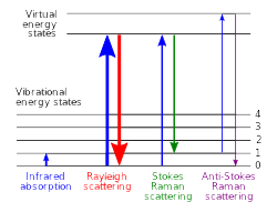 what does ramn spectroscopy look like?
