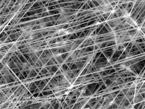 2 P-Doped SiNWs P-Doped Silicon Nanowires