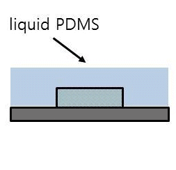 pdms scaffold meaning pdms scaffold meaning