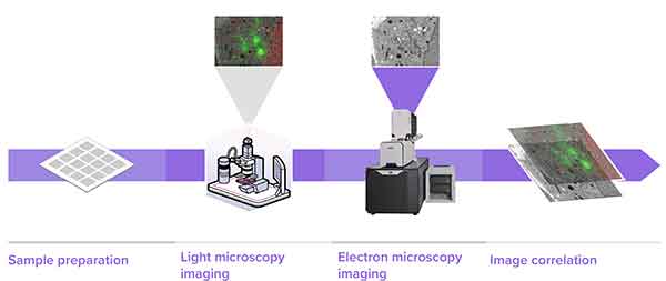 what is the process of microscopy imaging