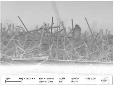 growing silicon nanowires