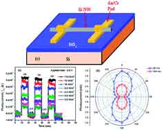 silicon photosensor explained