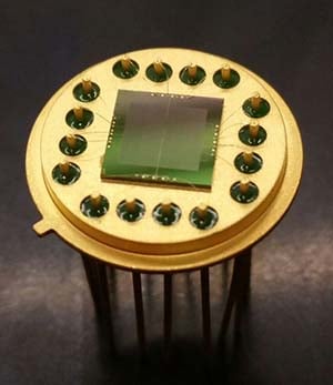 silicon carbide radiation detector