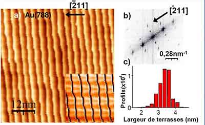 what does a vicinal surface look like?
