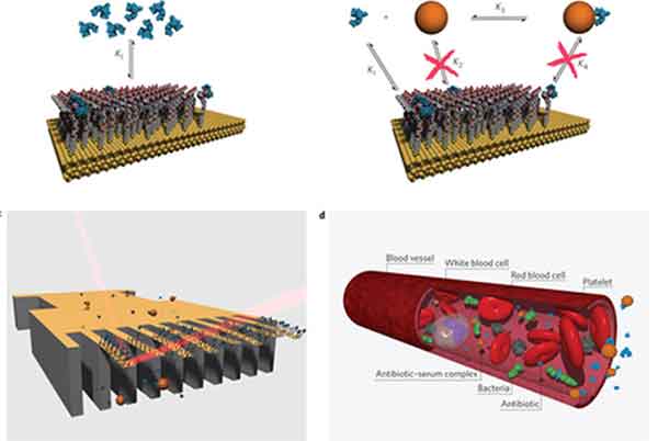 nanochip definition