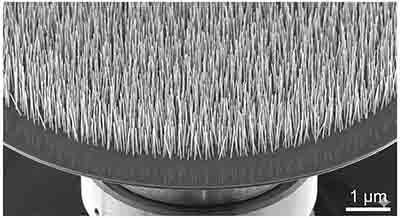 Zinc Oxide Nanowires